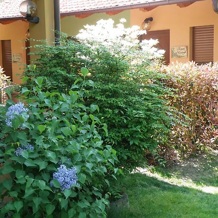 La Colletta Paesana